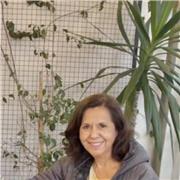 Clases particulares de Inglés presenciales o en línea